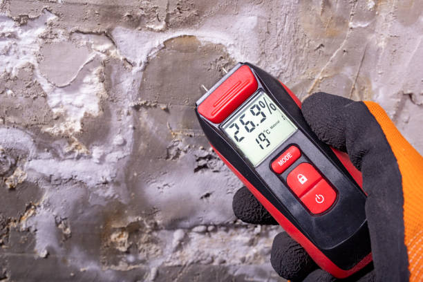 Best Crawl Space Mold Removal  in San Tan Valley, AZ
