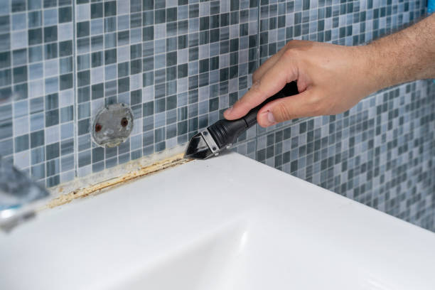 Professional Mold Removal in San Tan Valley, AZ